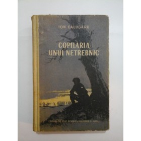 COPILARIA  UNUI  NETREBNIC - ION   CALUGARU